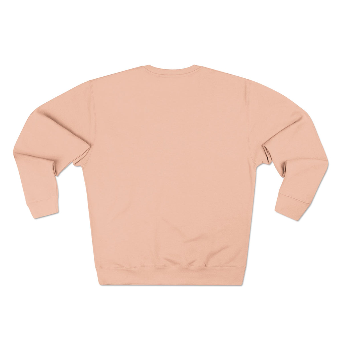 Momentum "COLLEGIATE" Premium Vintage Sweatshirt